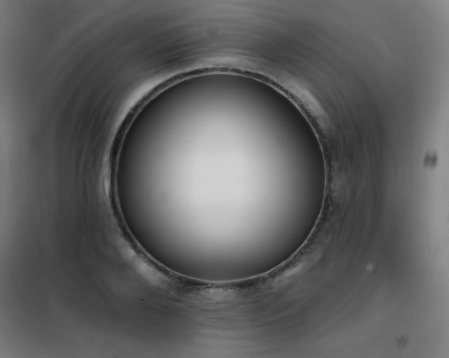 X0000102290888200807251419