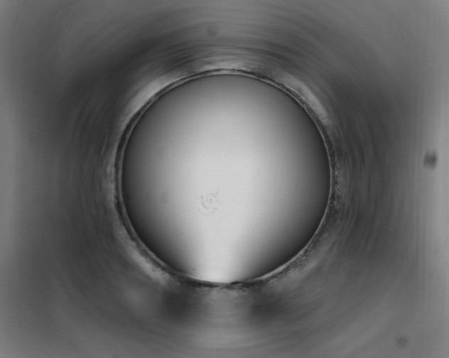 X0000102290890200807251419