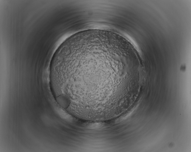 X0000102290891200807251419