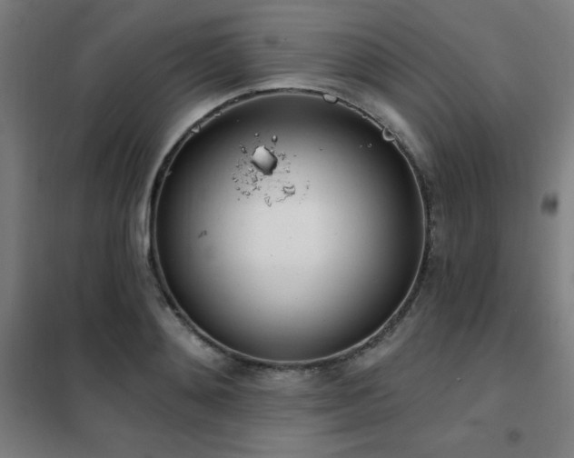 X0000102290892200807251419