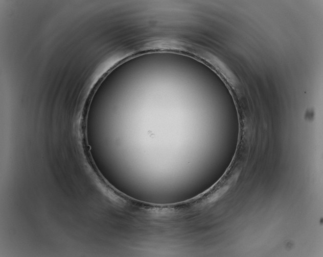 X0000102290893200807251419