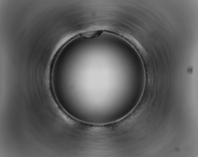 X0000102290894200807251419