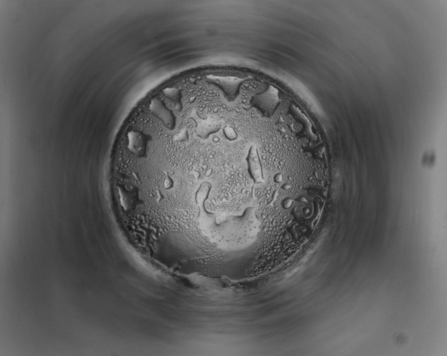 X0000102290895200807251419