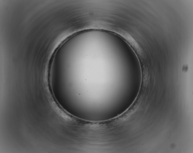 X0000102290896200807251419