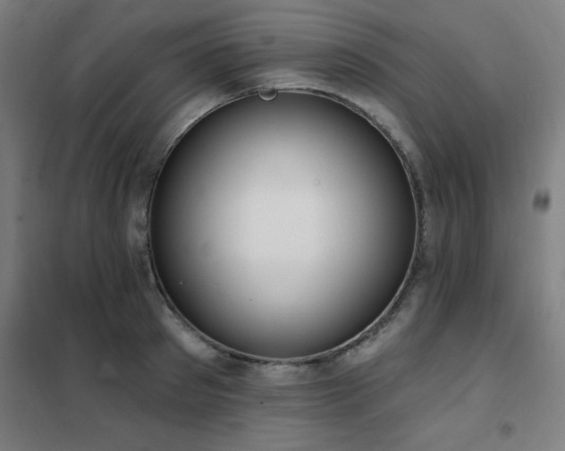 X0000102290897200807251419