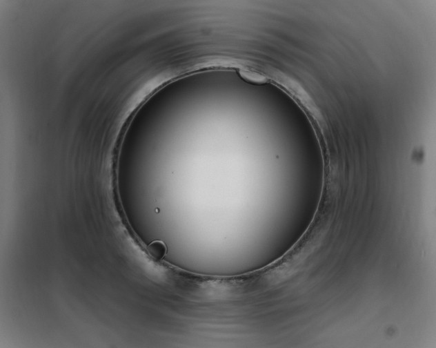 X0000102290898200807251419
