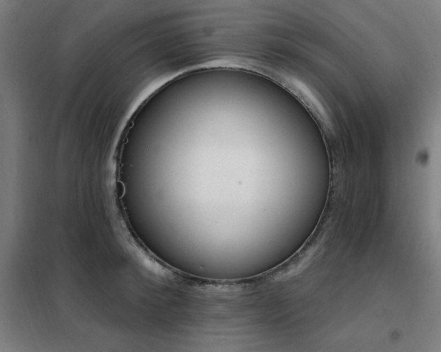 X0000102290900200807251419