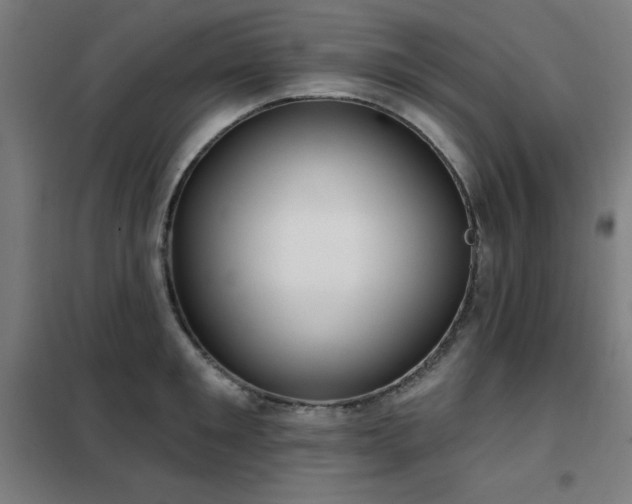 X0000102290901200807251419