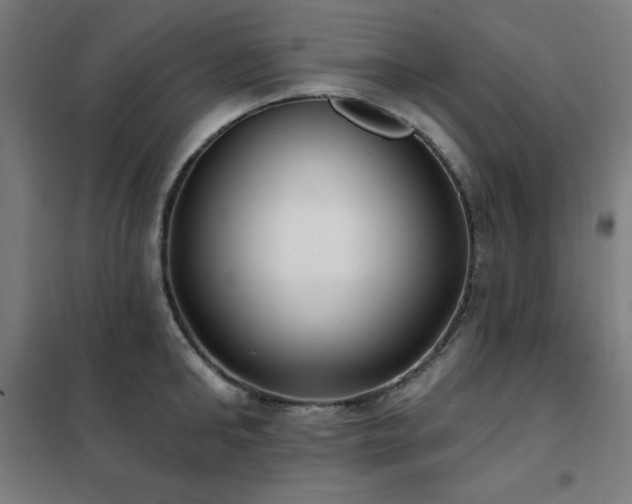 X0000102290902200807251419