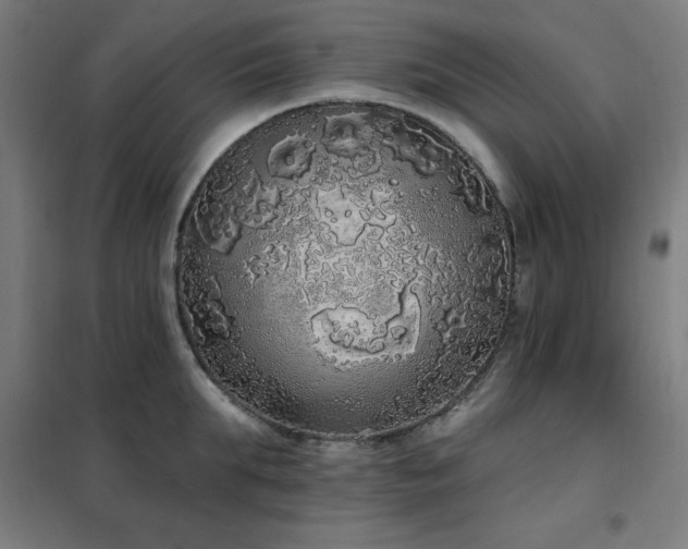 X0000102290903200807251419