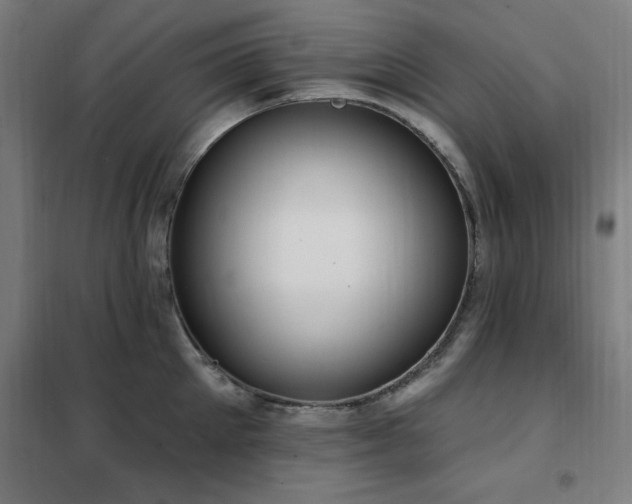 X0000102290905200807251419