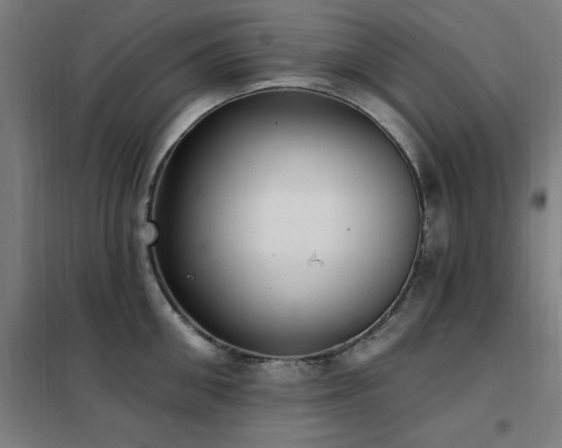 X0000102290906200807251419