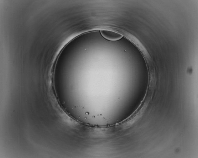 X0000102290908200807251419