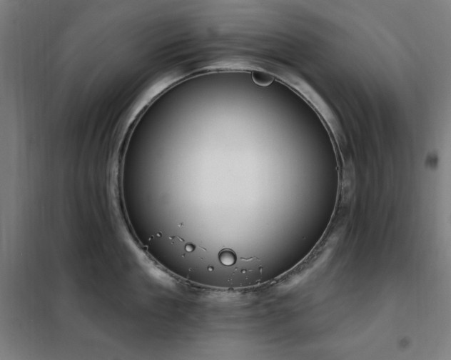X0000102290909200807251419
