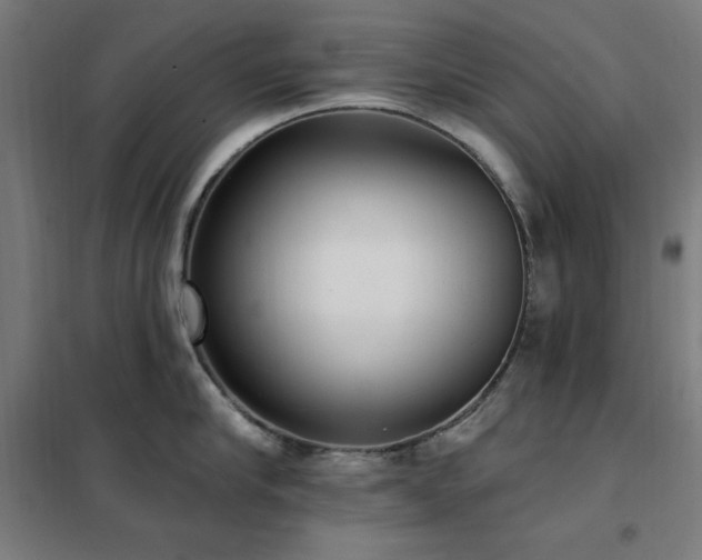 X0000102290910200807251419