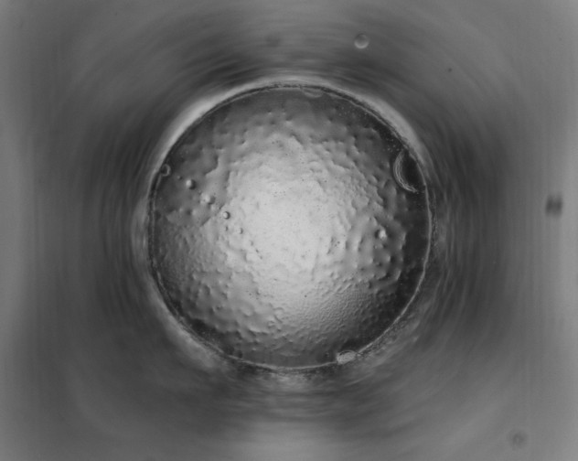 X0000102290911200807251419