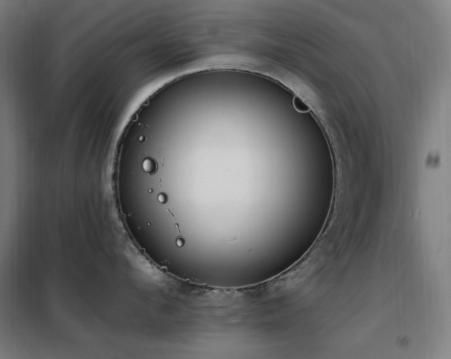 X0000102290912200807251419