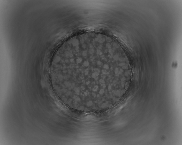 X0000102290913200807251418