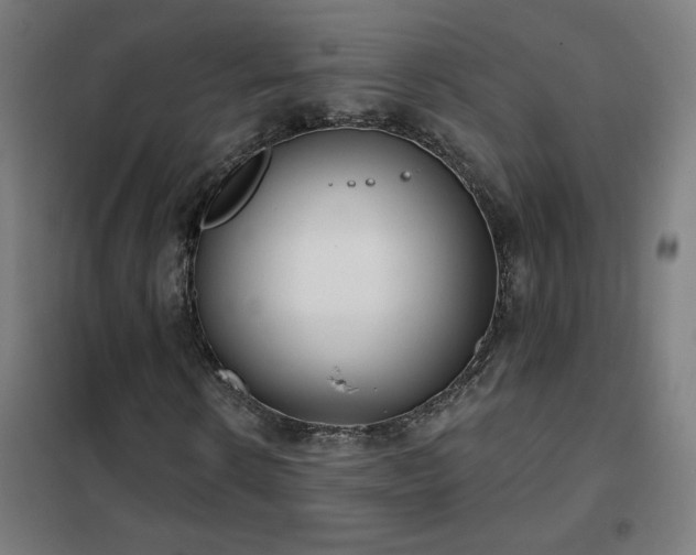 X0000102290914200807251418