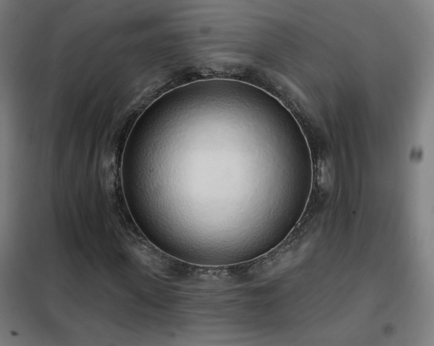 X0000102290915200807251418