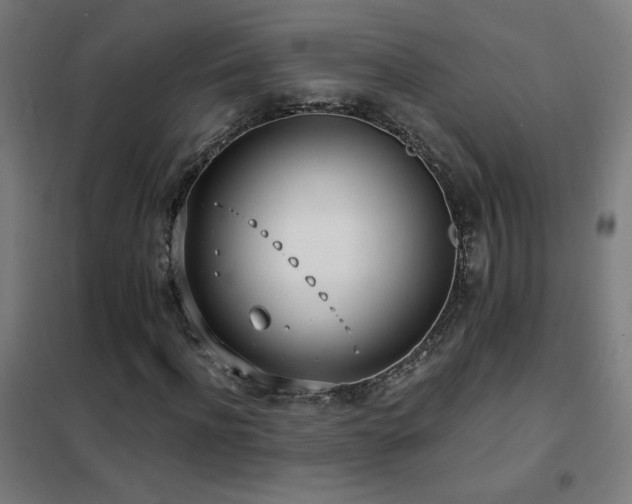 X0000102290916200807251418