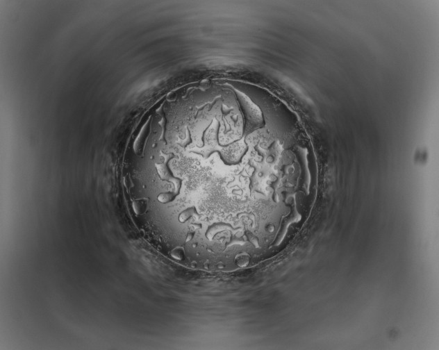 X0000102290917200807251418
