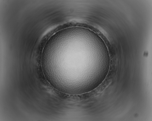X0000102290919200807251418