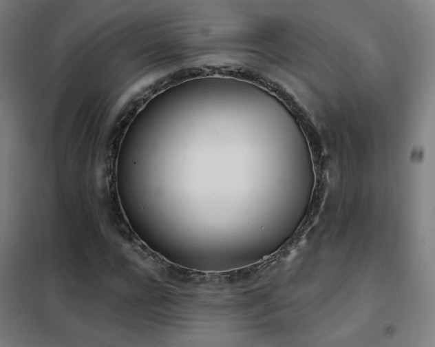 X0000102290920200807251418