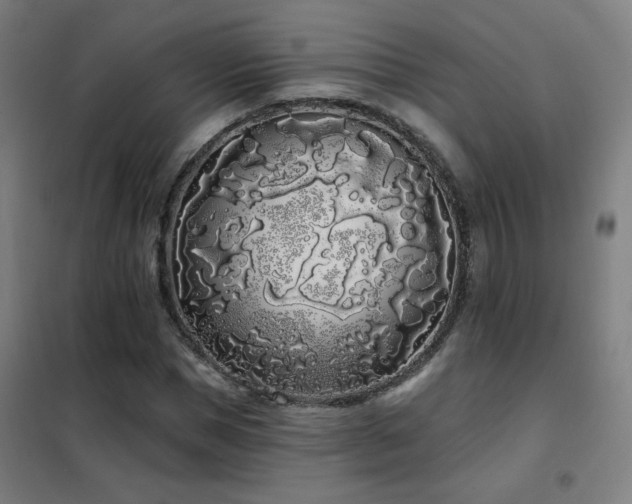X0000102290921200807251418