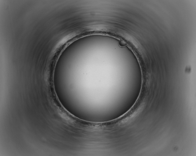 X0000102290922200807251418