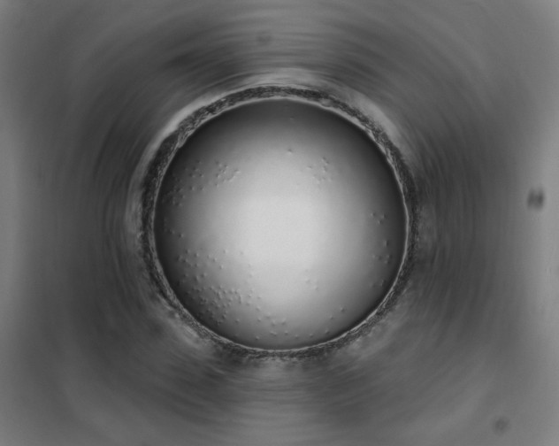 X0000102290923200807251418