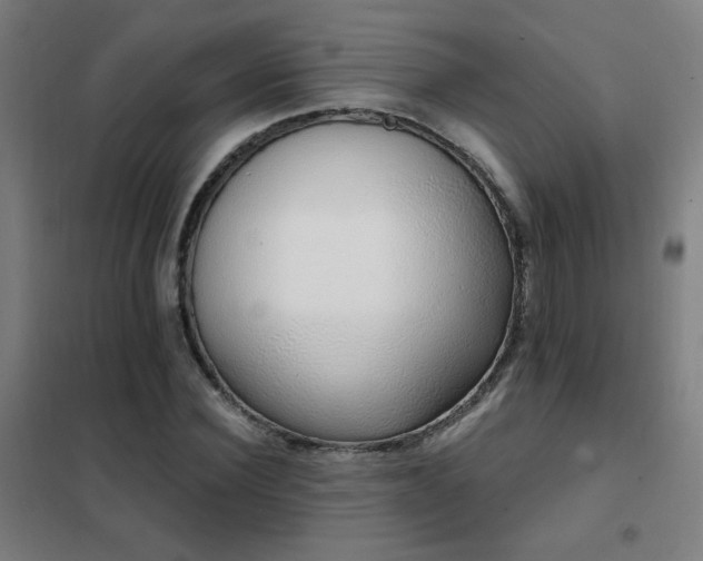 X0000102290924200807251418