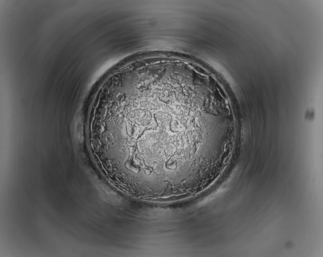 X0000102290925200807251418