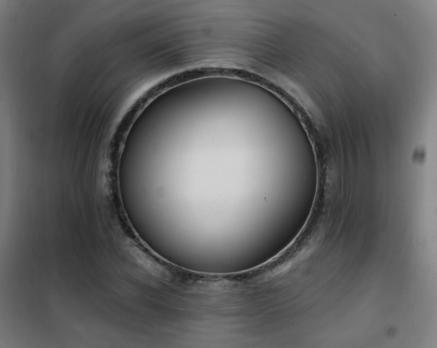 X0000102290926200807251418