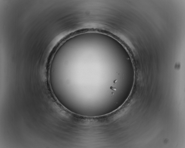 X0000102290927200807251418
