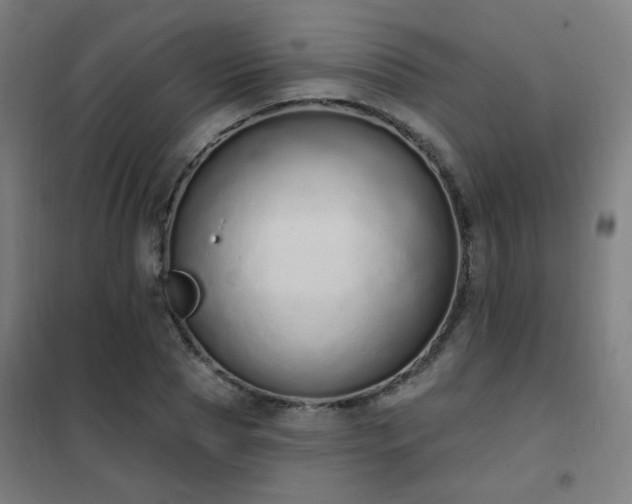 X0000102290929200807251418