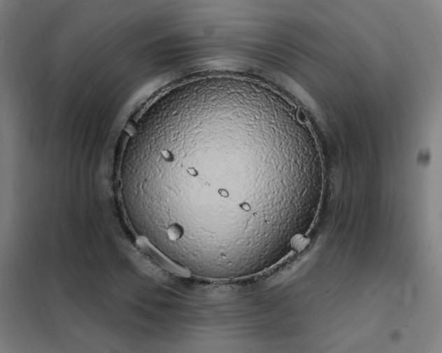 X0000102290930200807251418