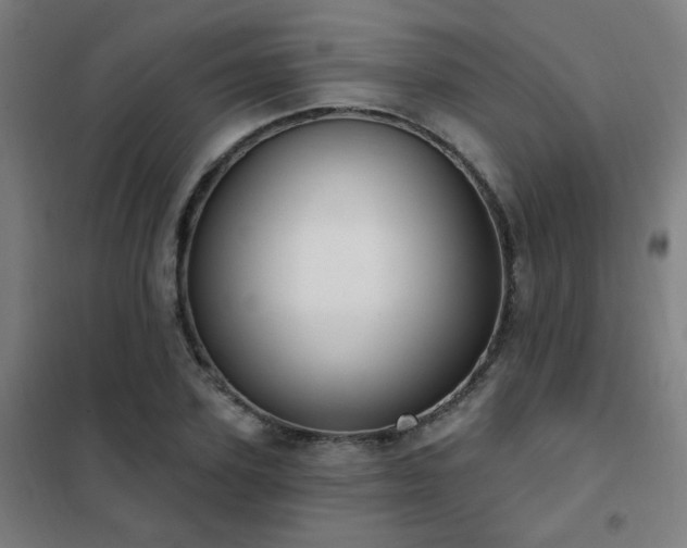 X0000102290931200807251418
