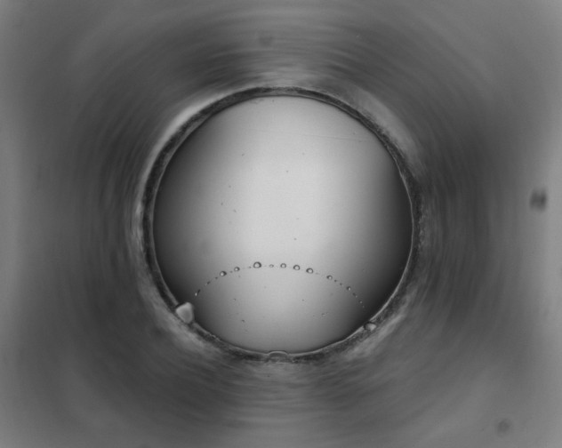 X0000102290932200807251418