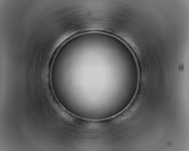 X0000102290933200807251418