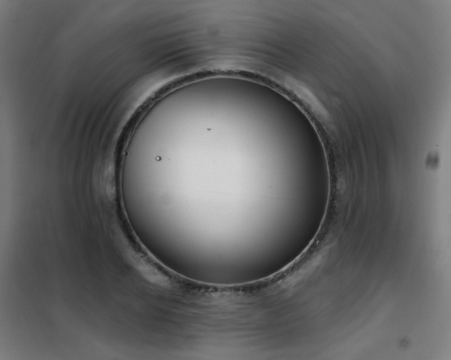 X0000102290934200807251419