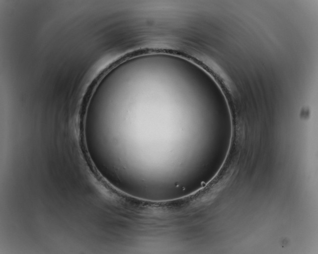 X0000102290935200807251419