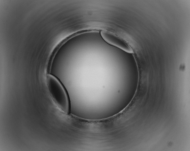 X0000102290936200807251419