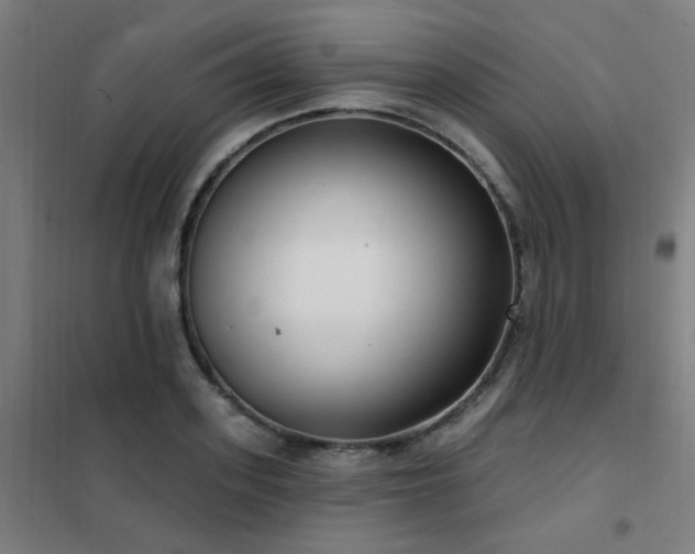 X0000102290939200807251419