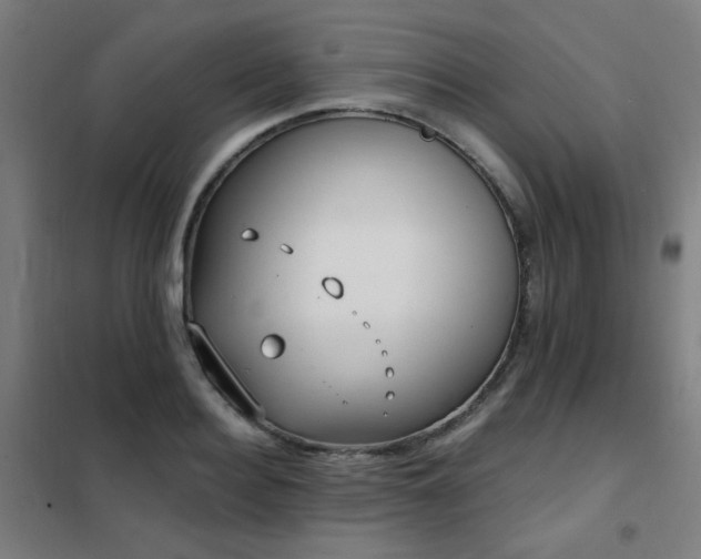 X0000102290940200807251419