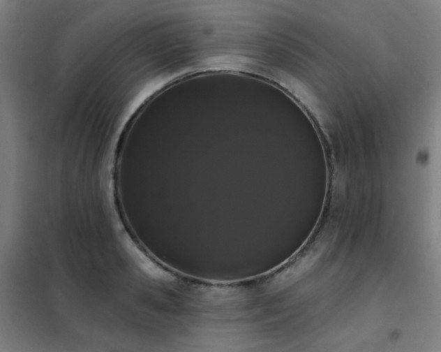 X0000102290941200807251419