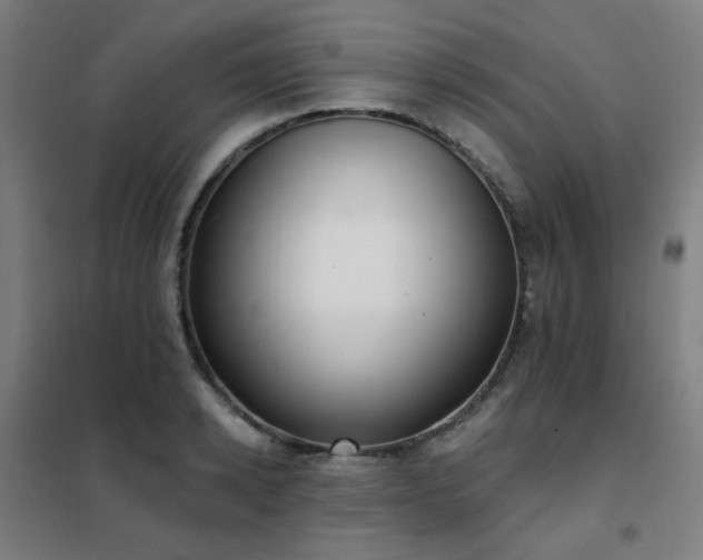 X0000102290942200807251419