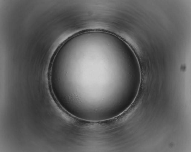 X0000102290943200807251419