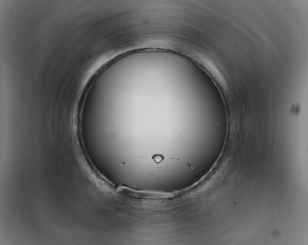 X0000102290944200807251419