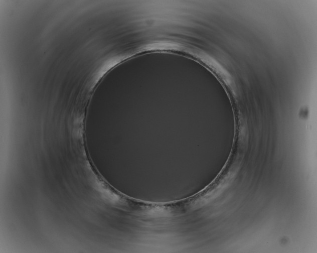 X0000102290945200807251419